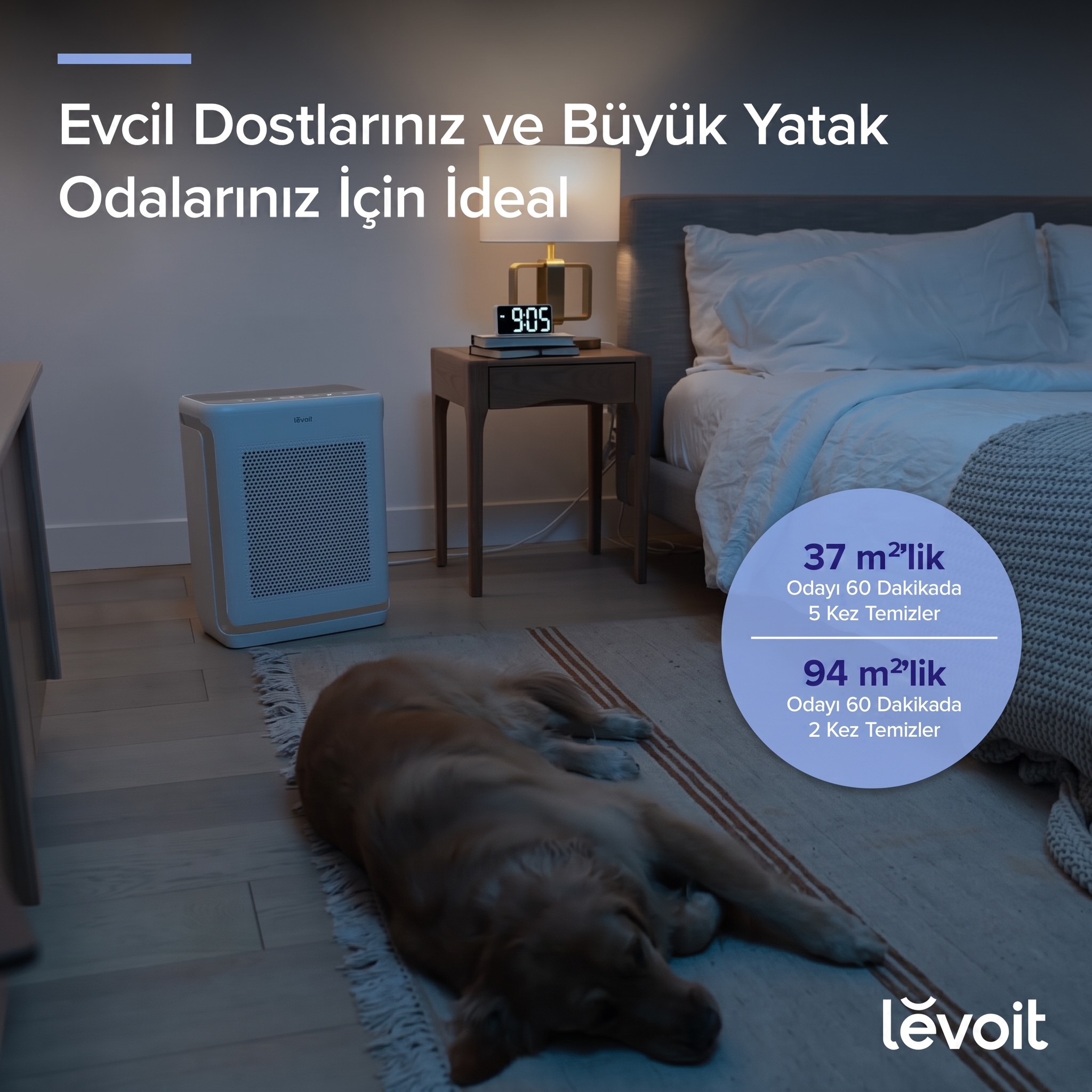 Yatak odasında halıda yatan bir golden retriever ve yanında beyaz bir hava temizleyici, üzerinde Türkçe metinler.