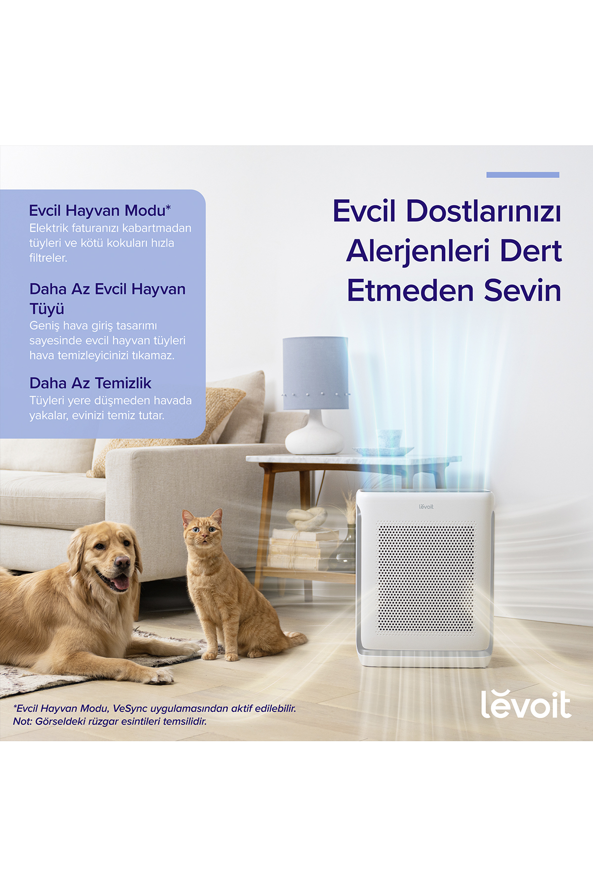 Bir köpek ve kedi, Levoit hava temizleyicinin yanında oturuyor.