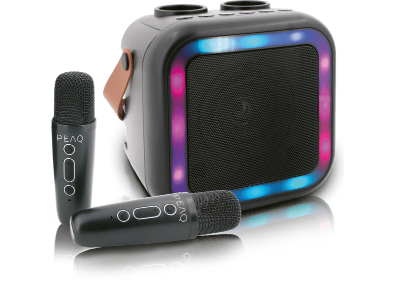 Peaq PKM-100 Draagbare Karaoke-machine