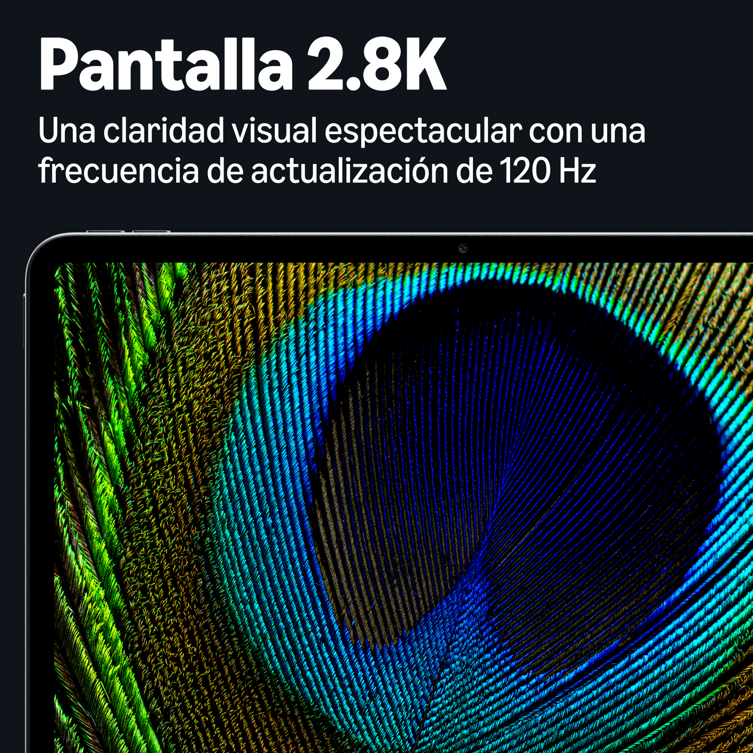 Tablet | Amazon Alexa Tablet 12 Pro, 12