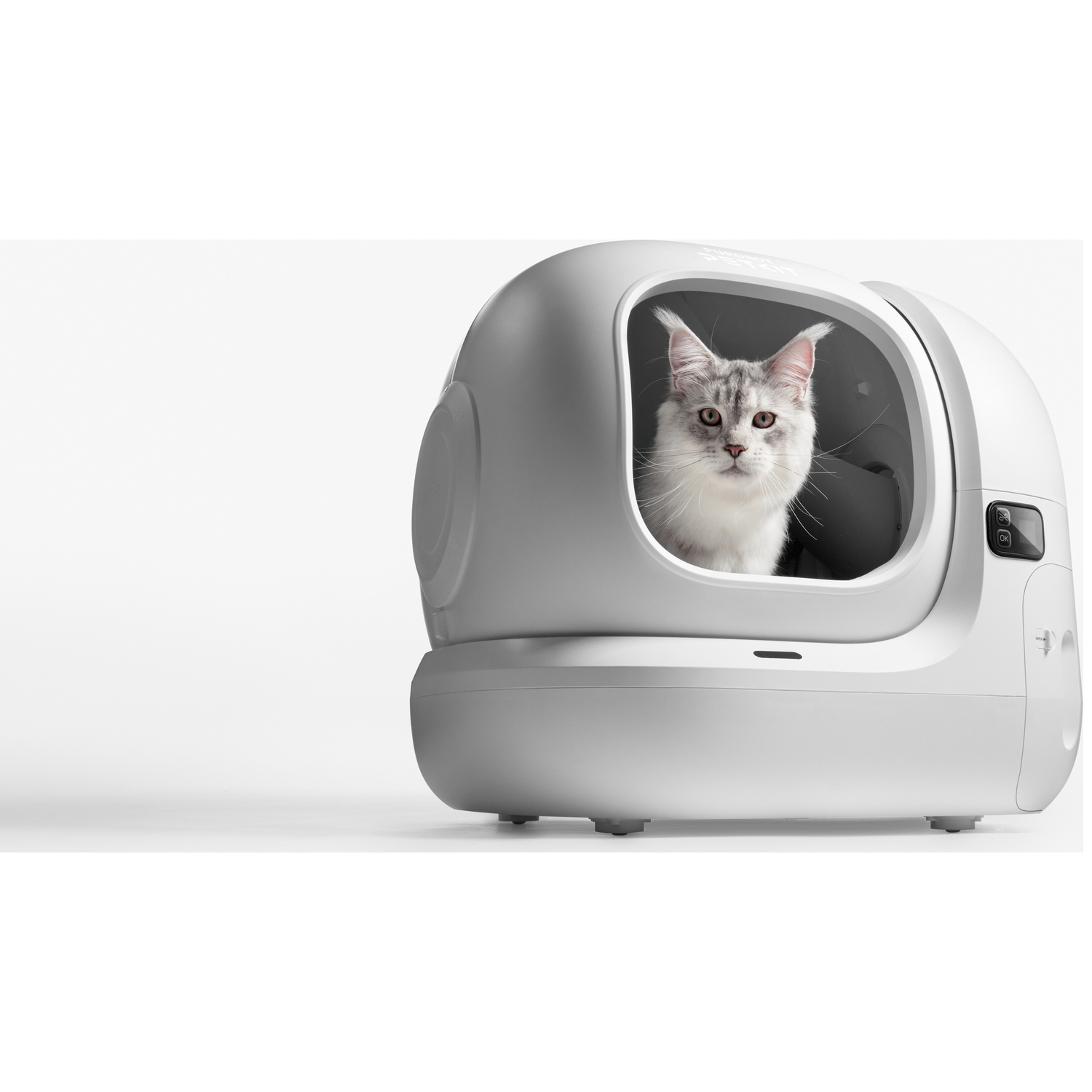 Une litière pour chat futuriste blanche avec un chat gris regardant par l'ouverture sur un fond blanc.