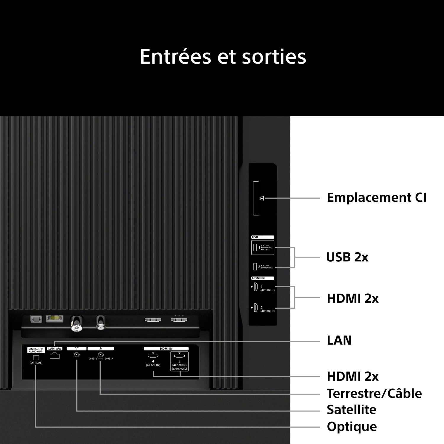 Diagramme illustrant les différents ports d'entrée et de sortie situés à l'arrière d'un téléviseur.