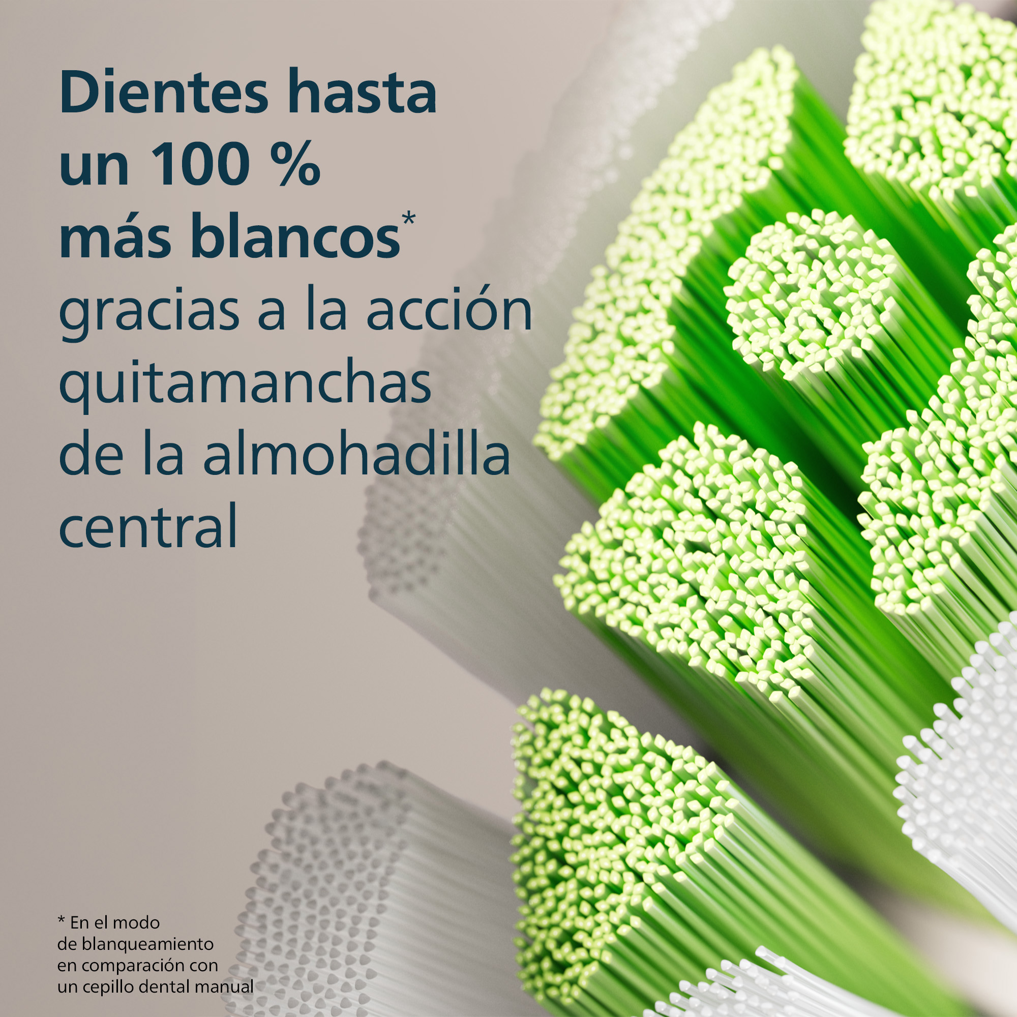 Primer plano de un cabezal de cepillo de dientes con cerdas verdes y blancas y texto en español.