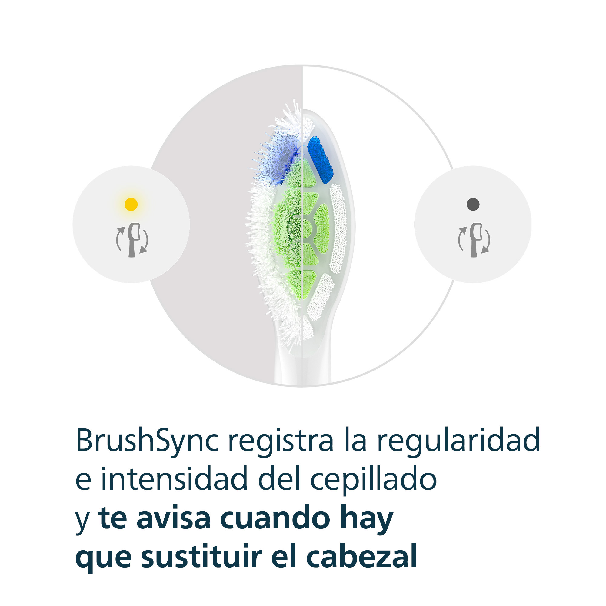 Comparación de dos cabezales: gastado a la izquierda, nuevo a la derecha. Texto abajo.