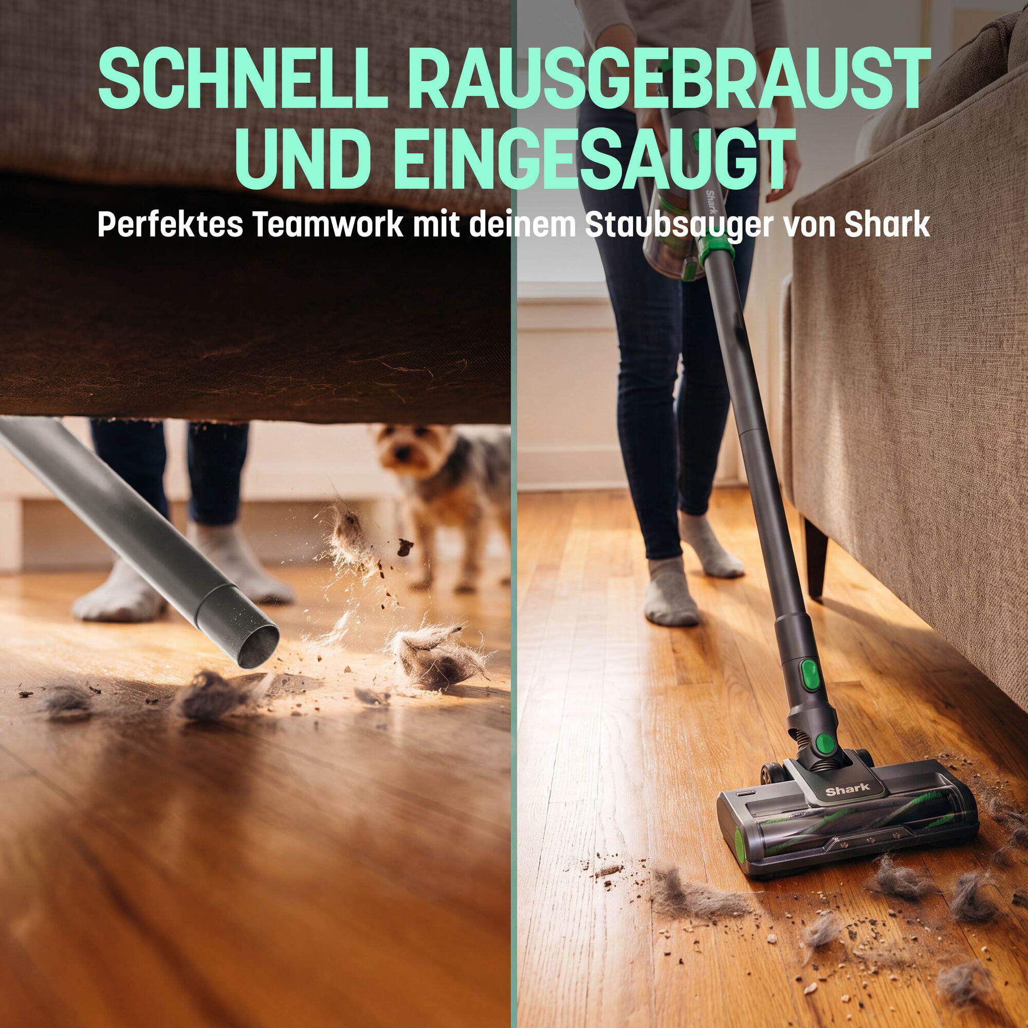 Ein Shark-Staubsauger reinigt Holzfußboden unter einem Sofa, mit Hund im Hintergrund.