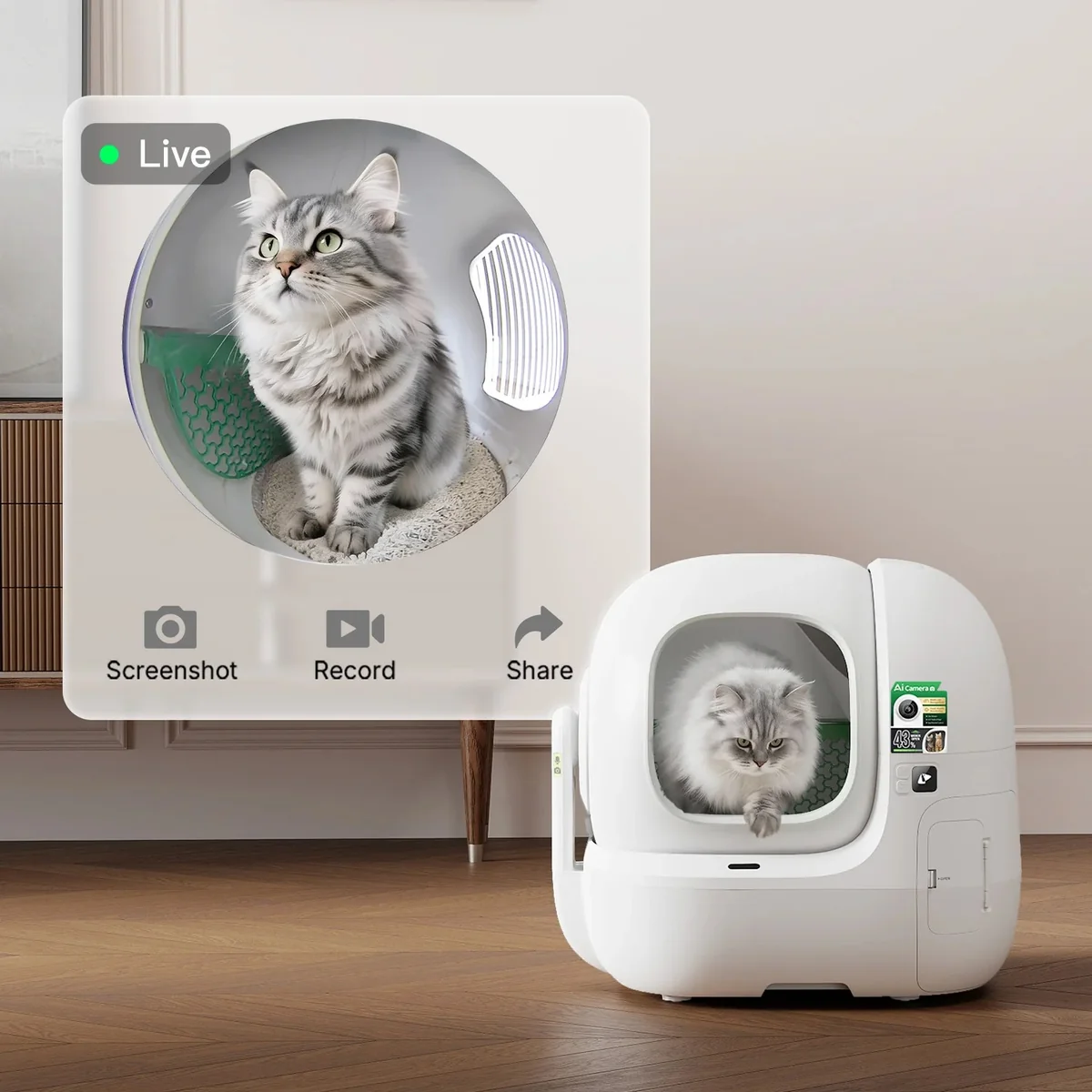 Un chat gris pelucheux dans une litière intelligente blanche avec flux vidéo en direct.