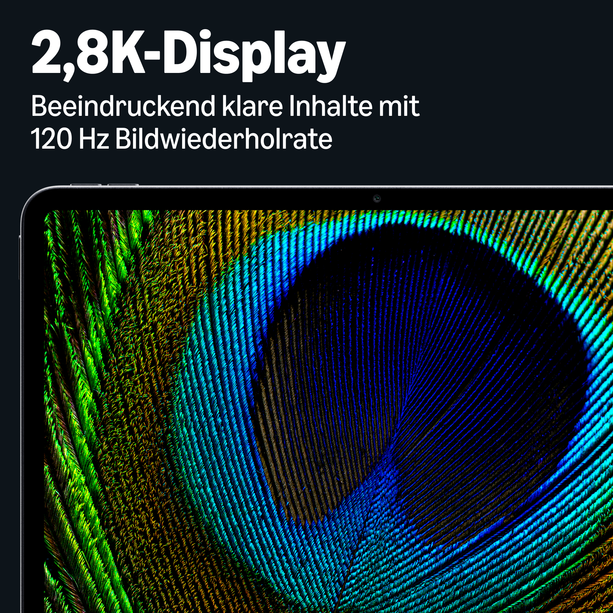Ein Tablet zeigt ein Pfauenfeder-Bild, das die 2,8K-Auflösung und 120Hz-Bildwiederholrate hervorhebt.