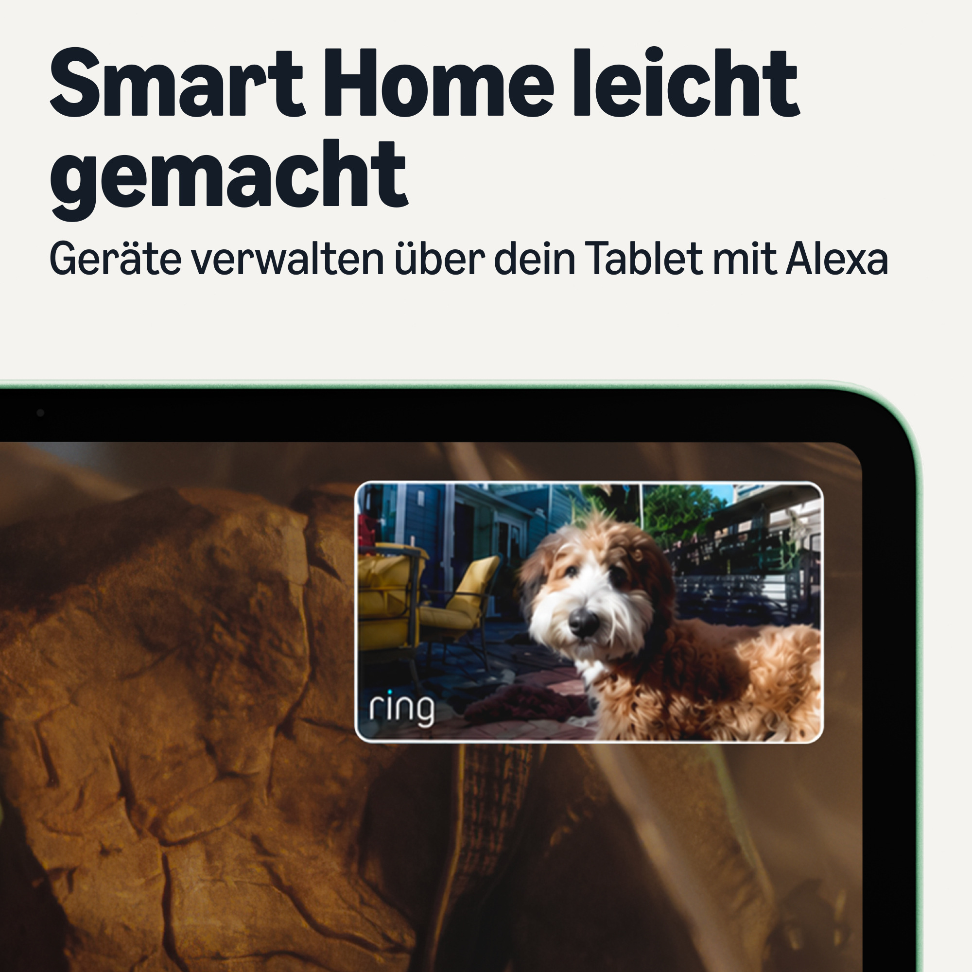 Ein Tablet zeigt einen Ring-Kamerafeed eines fluffigen Hundes auf einer Terrasse, mit deutschem Text.