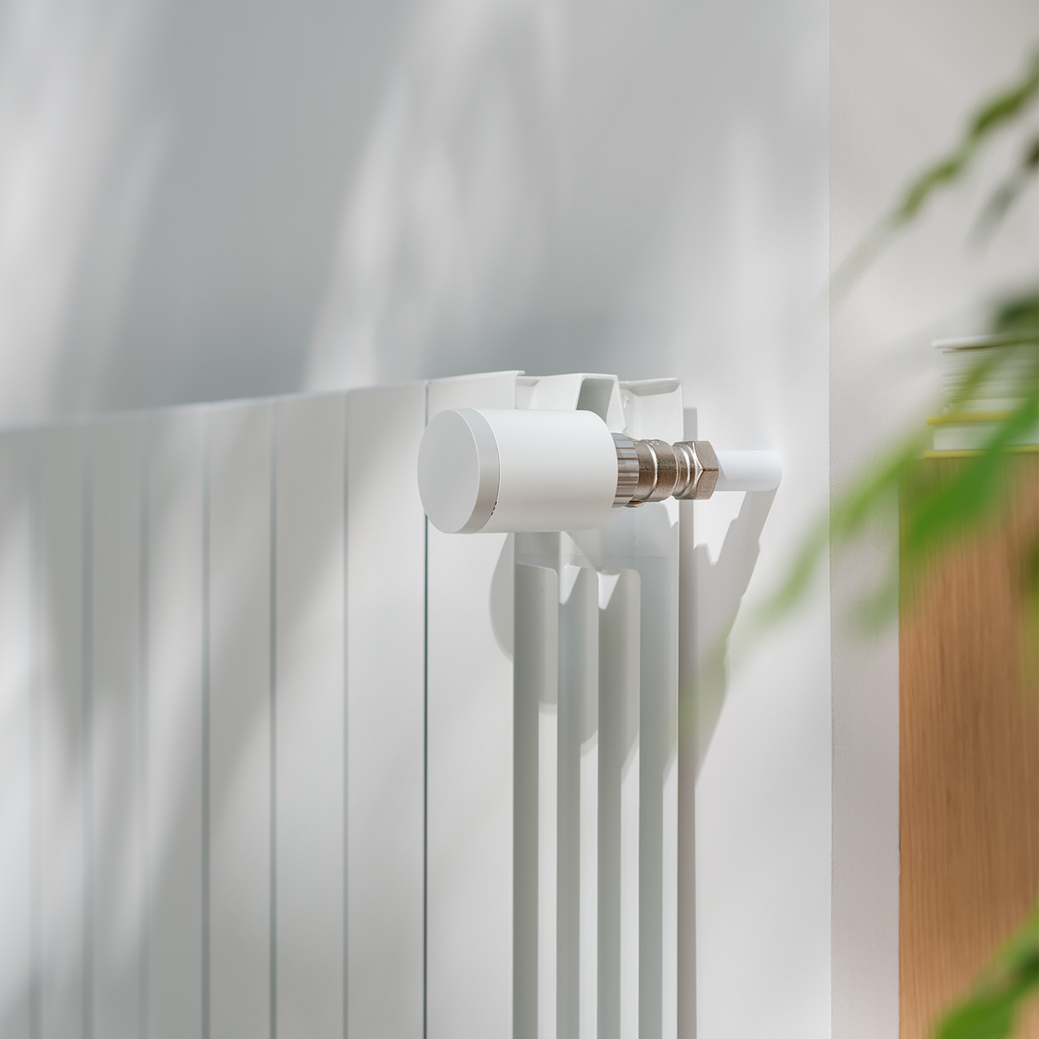 Un radiador blanco con perilla de termostato en una pared blanca, con hojas verdes en primer plano.