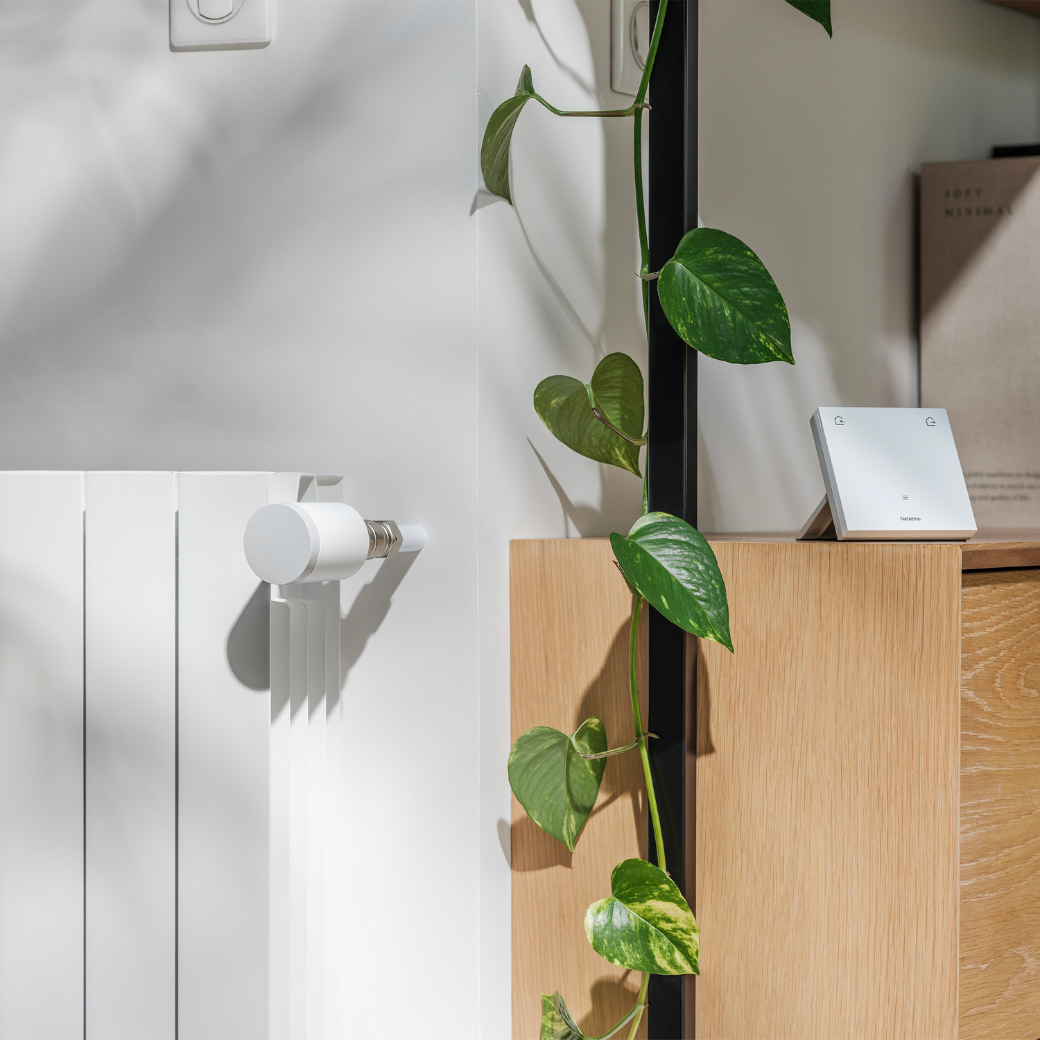 Una válvula de radiador blanca junto a una planta trepadora verde sobre un mueble de madera.
