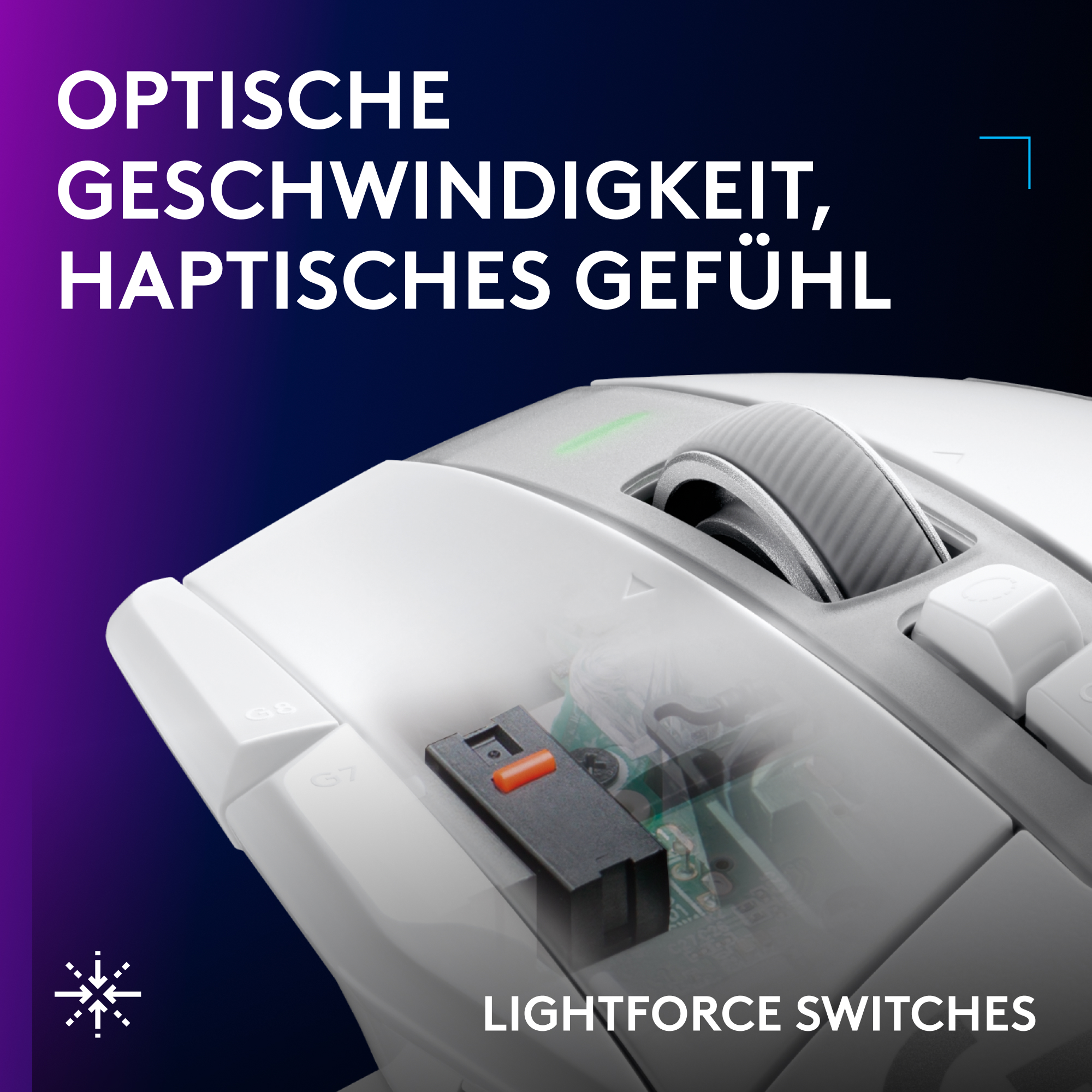 Nahaufnahme einer weißen Computermaus mit durchscheinender Schale, die interne Schalter zeigt.