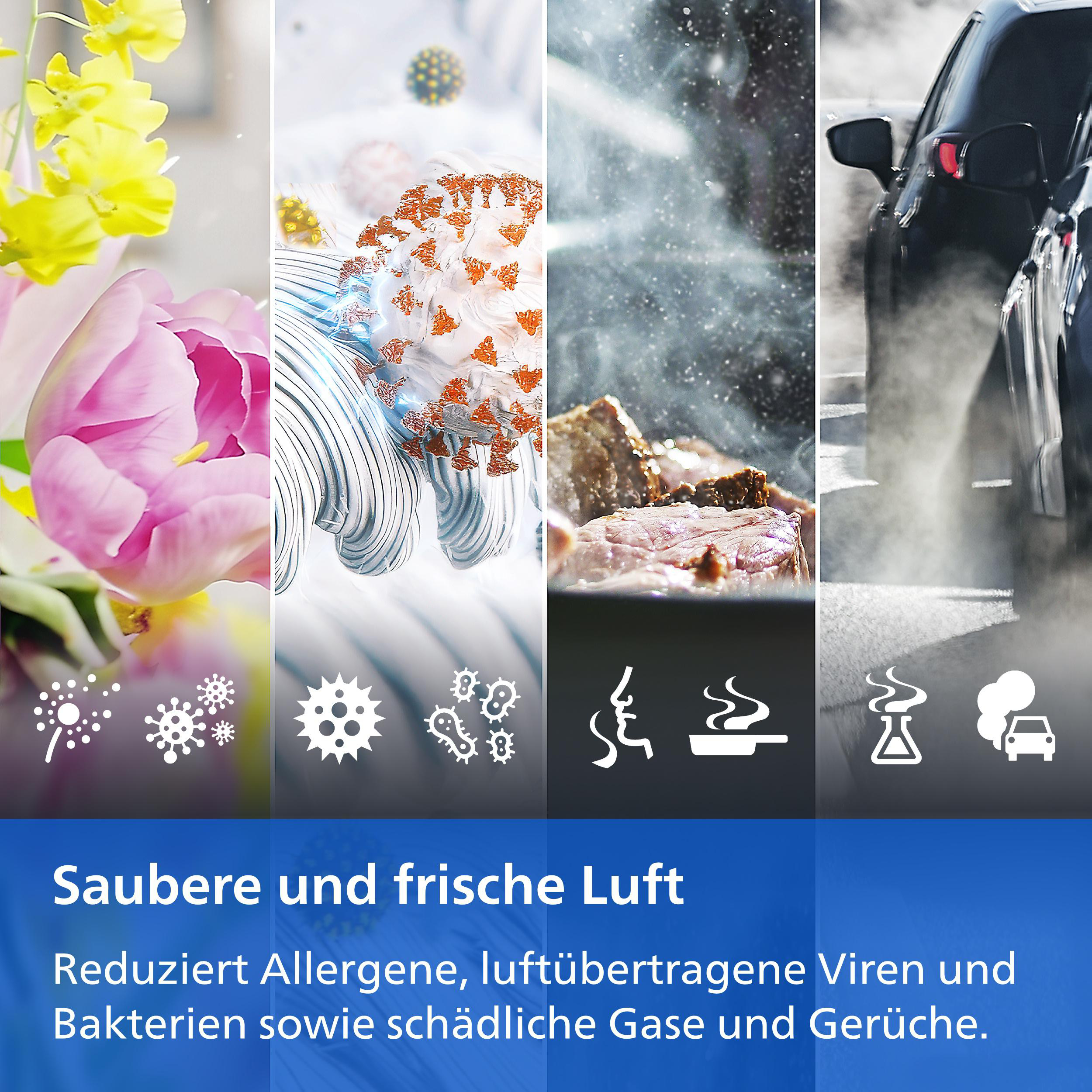 Vier Felder zeigen Allergene, Viren, Kochdunst und Autoabgase mit Text über saubere Luft.