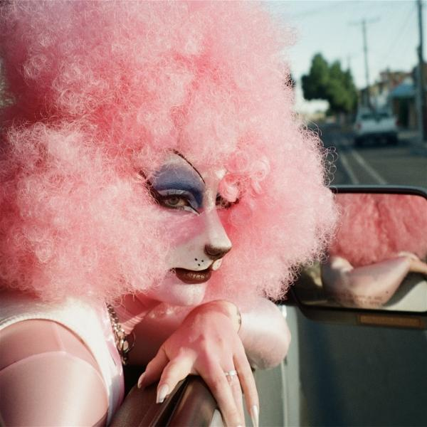 Person mit großer pinker Perücke und katzenartigem Make-up lehnt sich aus dem Autofenster.