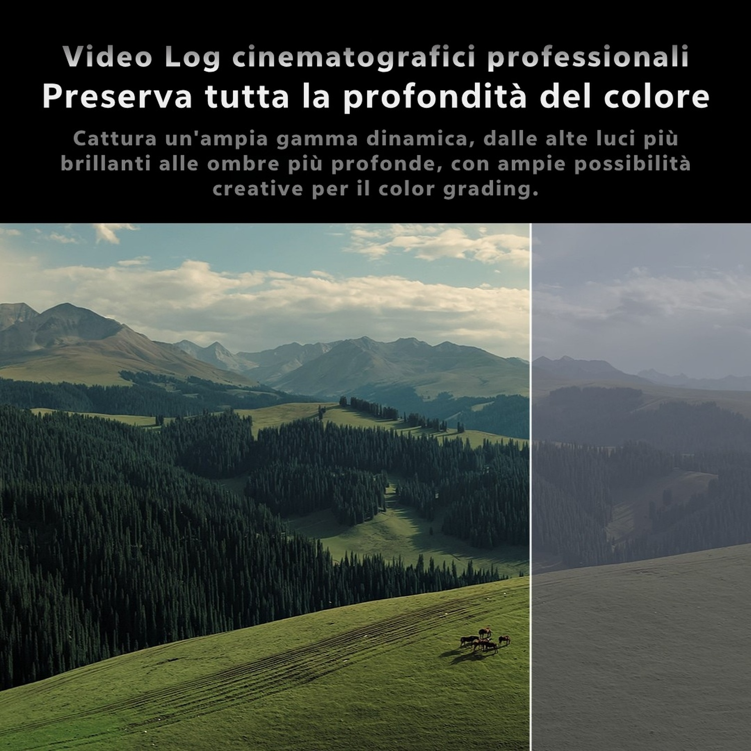 Confronto di due paesaggi montani che mostrano colori vivi rispetto a toni piatti.