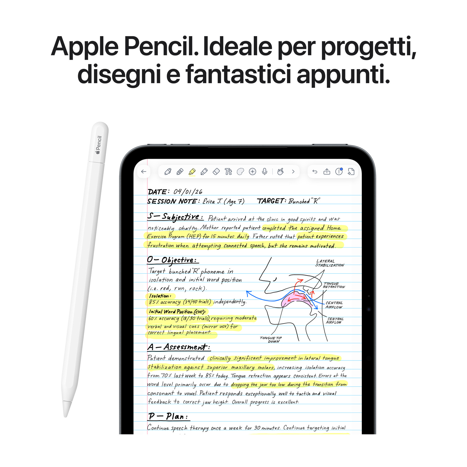 Una Apple Pencil bianca accanto a un iPad che mostra note scritte a mano e diagrammi anatomici.