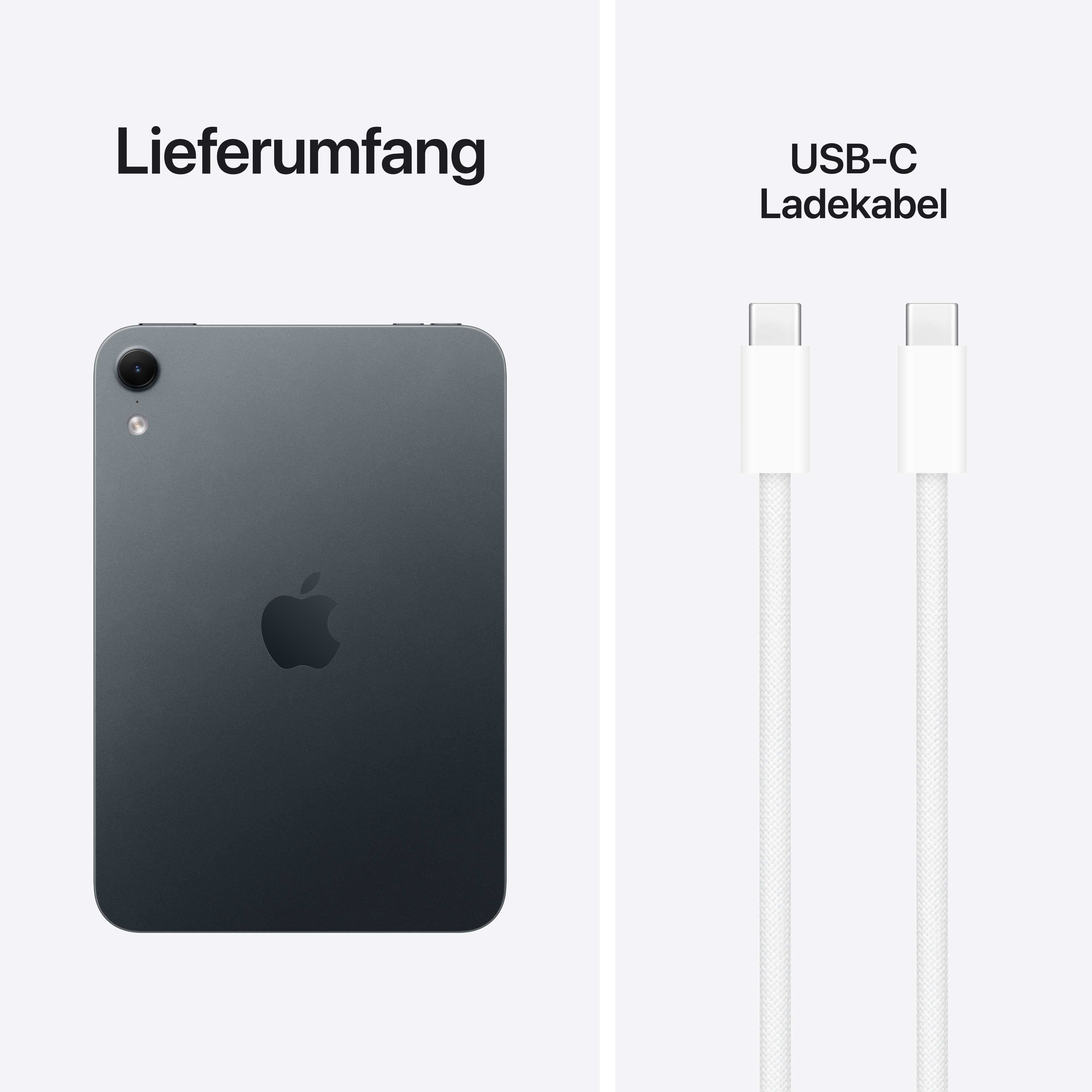 Lieferumfang: Ein graues Tablet mit Apple-Logo und ein weißes USB-C Ladekabel.