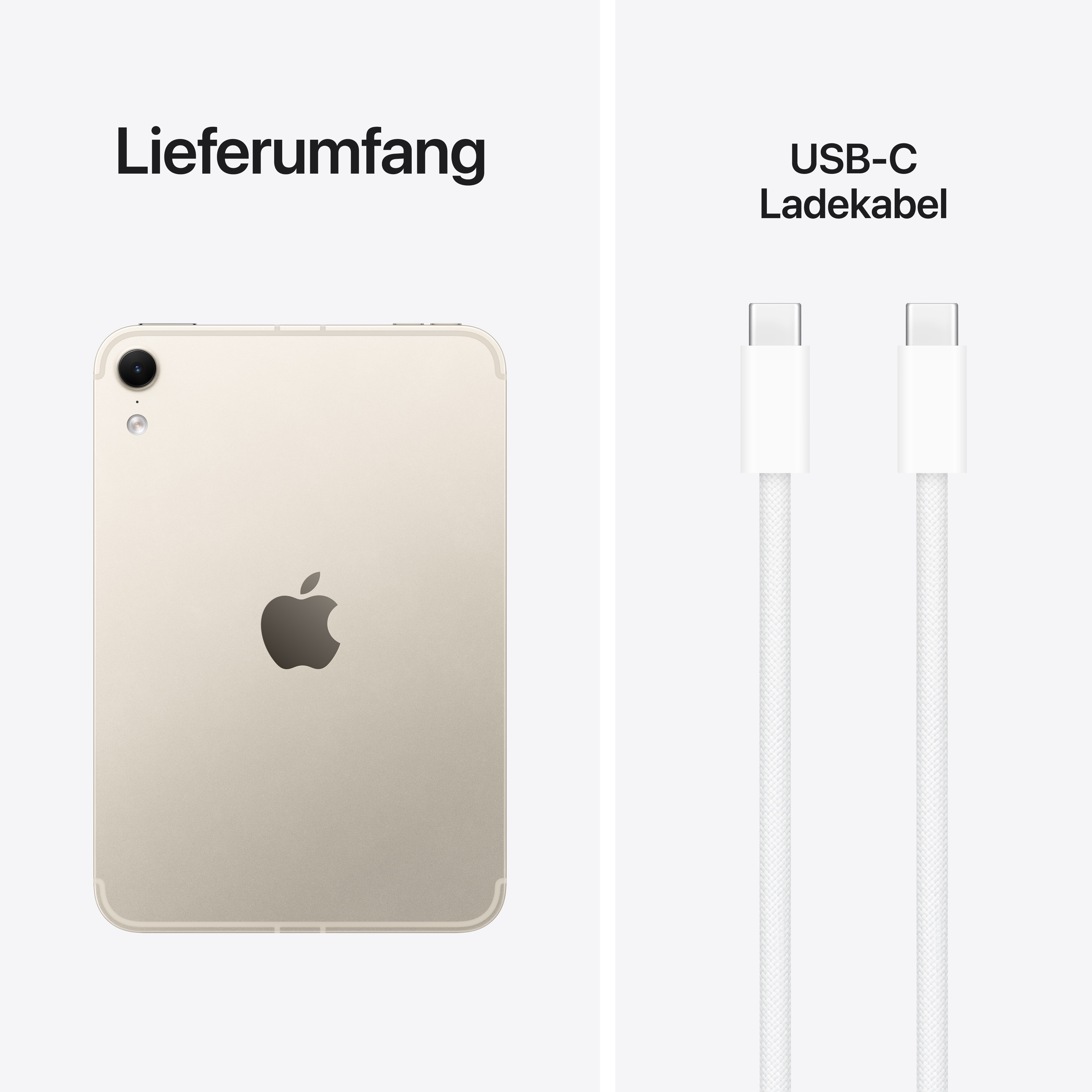 Lieferumfang: Ein goldenes Tablet mit Apple-Logo und zwei USB-C-Ladekabel.