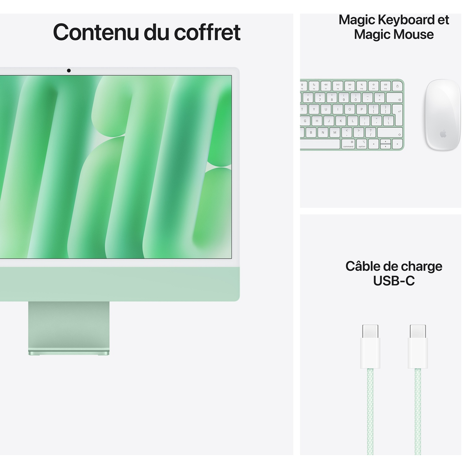 Contenu du coffret avec un iMac vert, un Magic Keyboard, une Magic Mouse et un câble USB-C.
