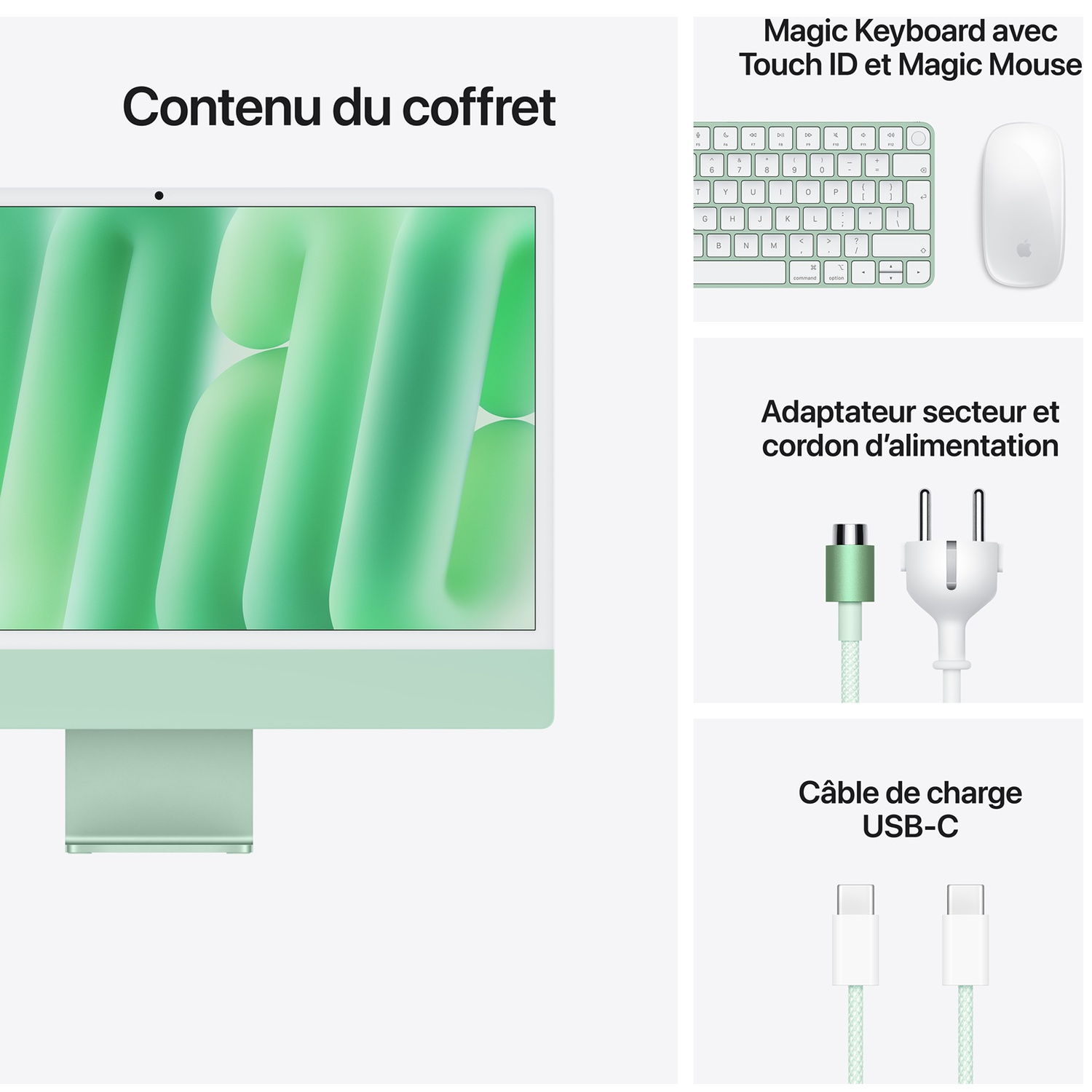Contenu du coffret avec un iMac vert, Magic Keyboard, Magic Mouse, adaptateur et câble USB-C.