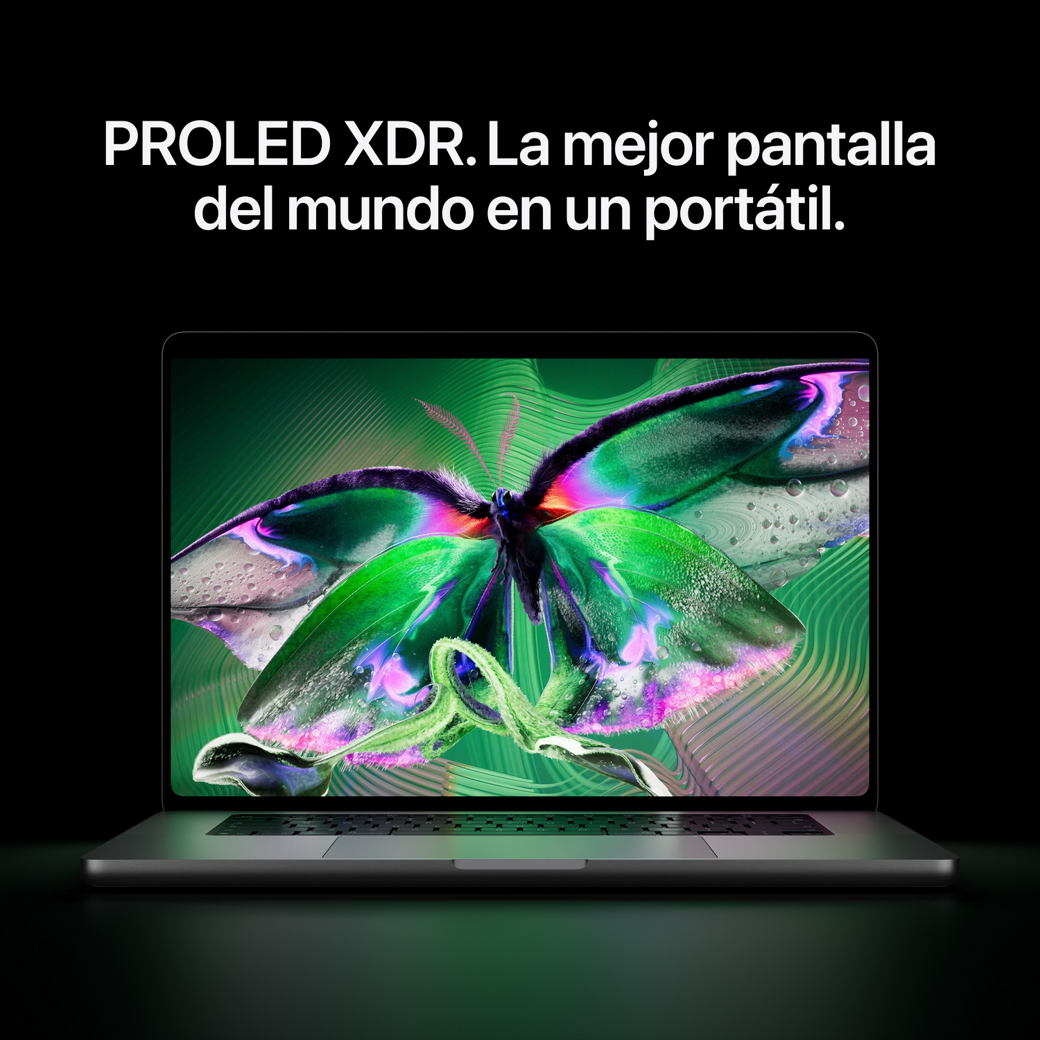 Portátil con fondo de pantalla de mariposa colorida y texto arriba.