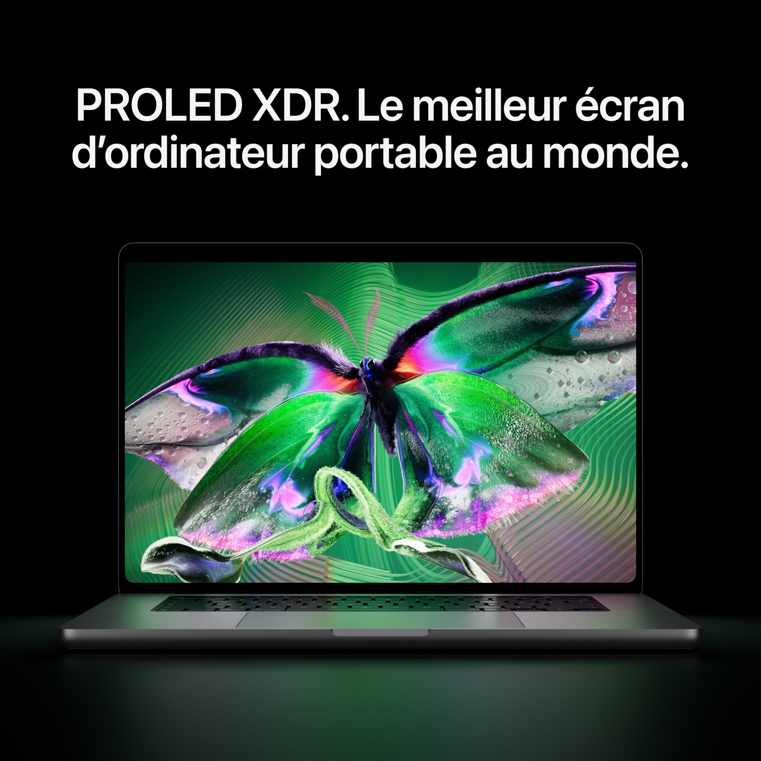 Ordinateur portable affichant une image de papillon colorée sur fond noir.