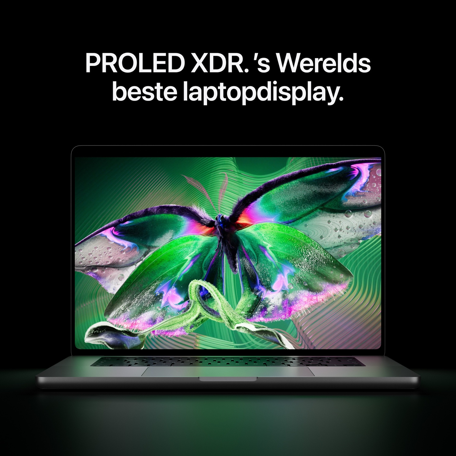 Een laptop toont een kleurrijke vlinder op het scherm met Nederlandse tekst erboven tegen een zwarte achtergrond.