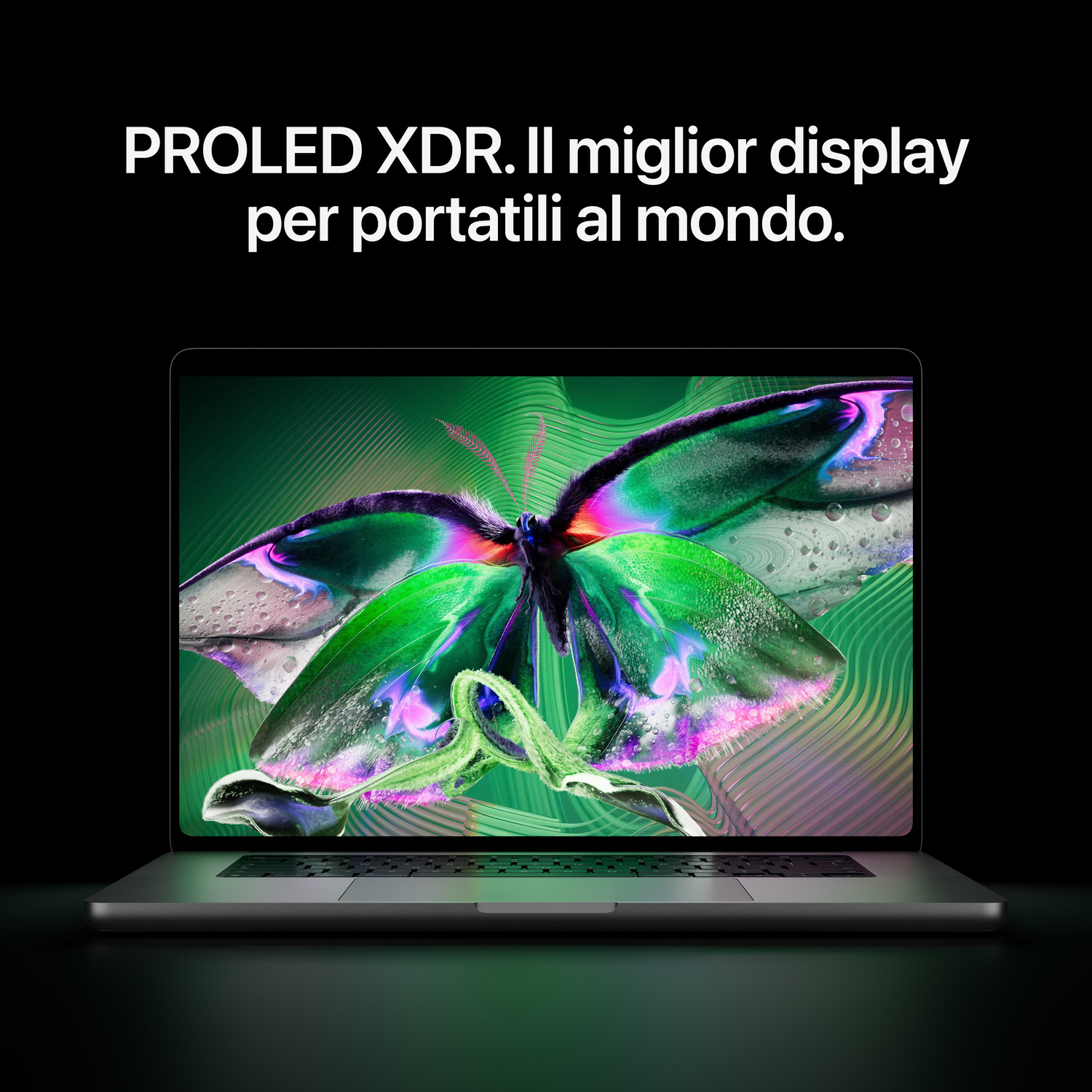 Un computer portatile che mostra l'immagine di una farfalla colorata sullo schermo su sfondo scuro.