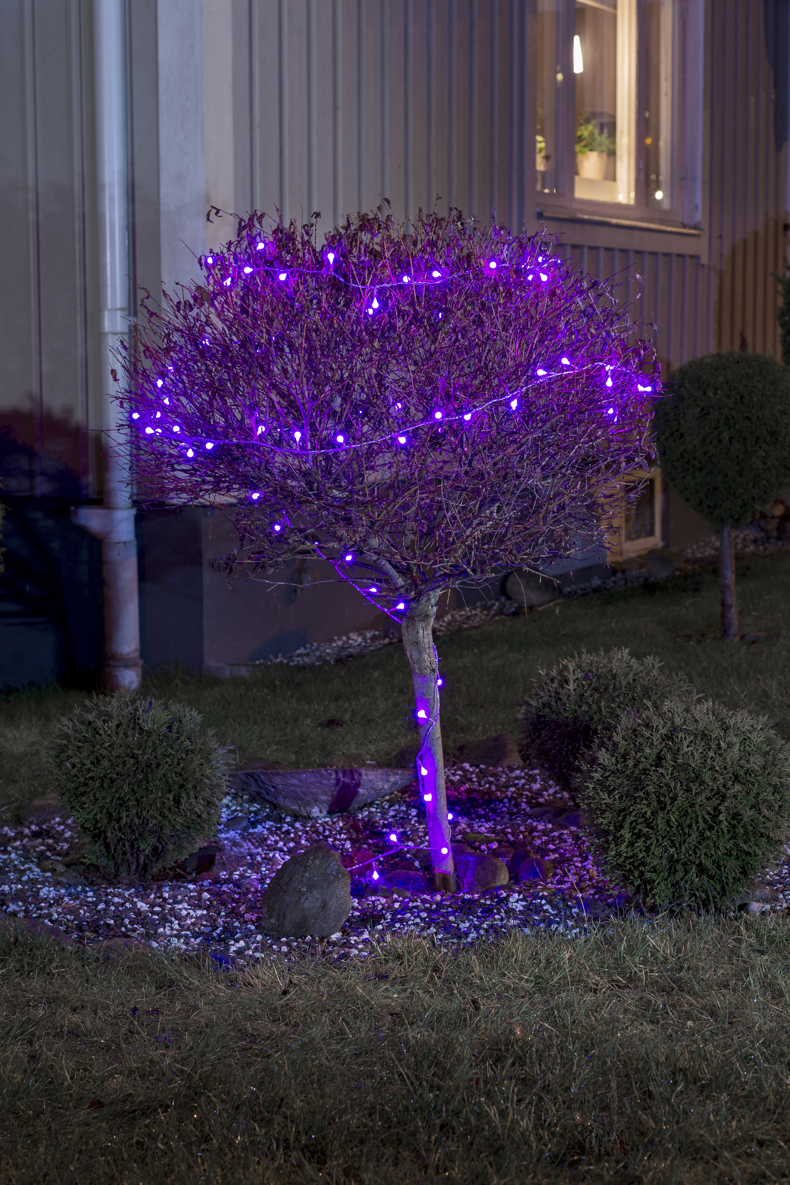 KONSTSMIDE LED Lichterkette Globe Farbwechsel, 80er LED Lichterkette, Transparent, Rot/Blau Farbwechsel
