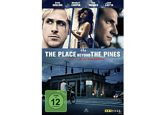 The Place Beyond The Pines [DVD]