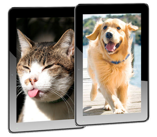 REEDER A9 9 inç Cortex-A7 Allwinner A31s 1GB 16GB Android 4.2