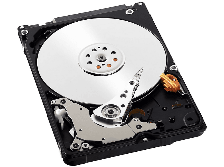 dilemma Bovenstaande produceren WD Mainstream 2,5" HDD 500GB kopen? | MediaMarkt