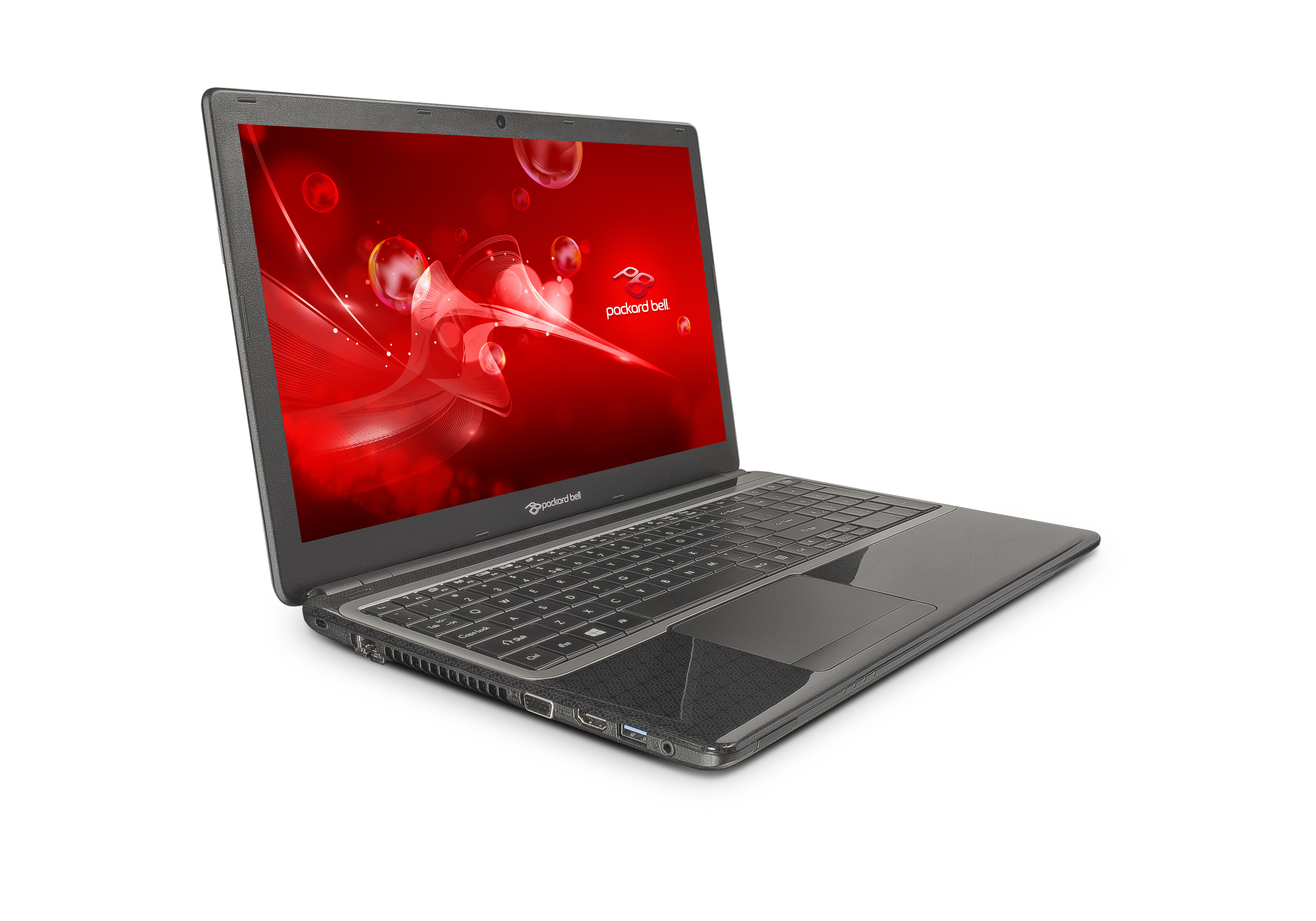 PACKARD BELL EasyNote TE69KB-12502G32Mnsk		 - 15,6 Zoll - AMD E-Series E1-2500 - 2 GB - 320 GB - Windows