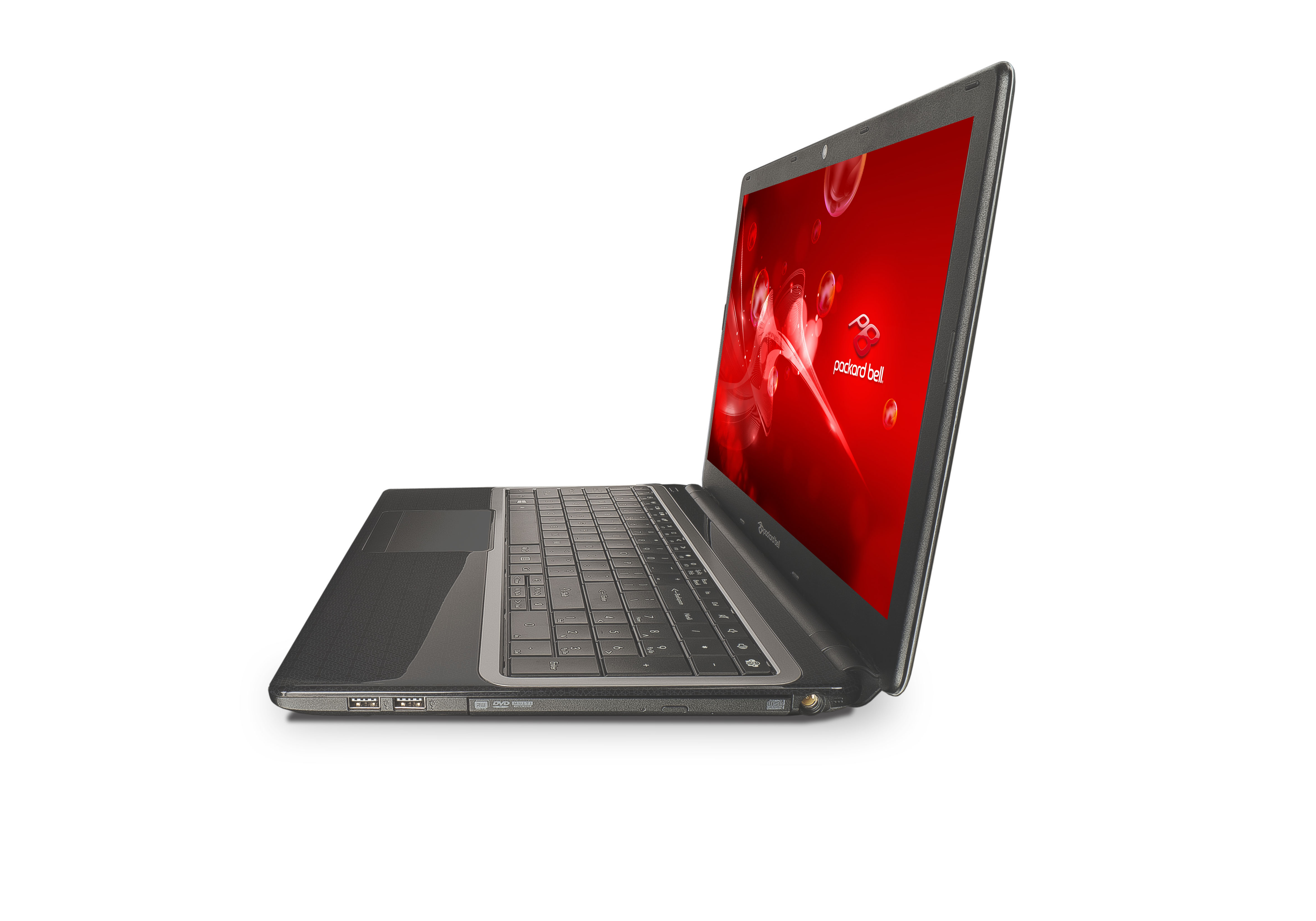 PACKARD BELL EasyNote TE69KB-12502G32Mnsk		 - 15,6 Zoll - AMD E-Series E1-2500 - 2 GB - 320 GB - Windows