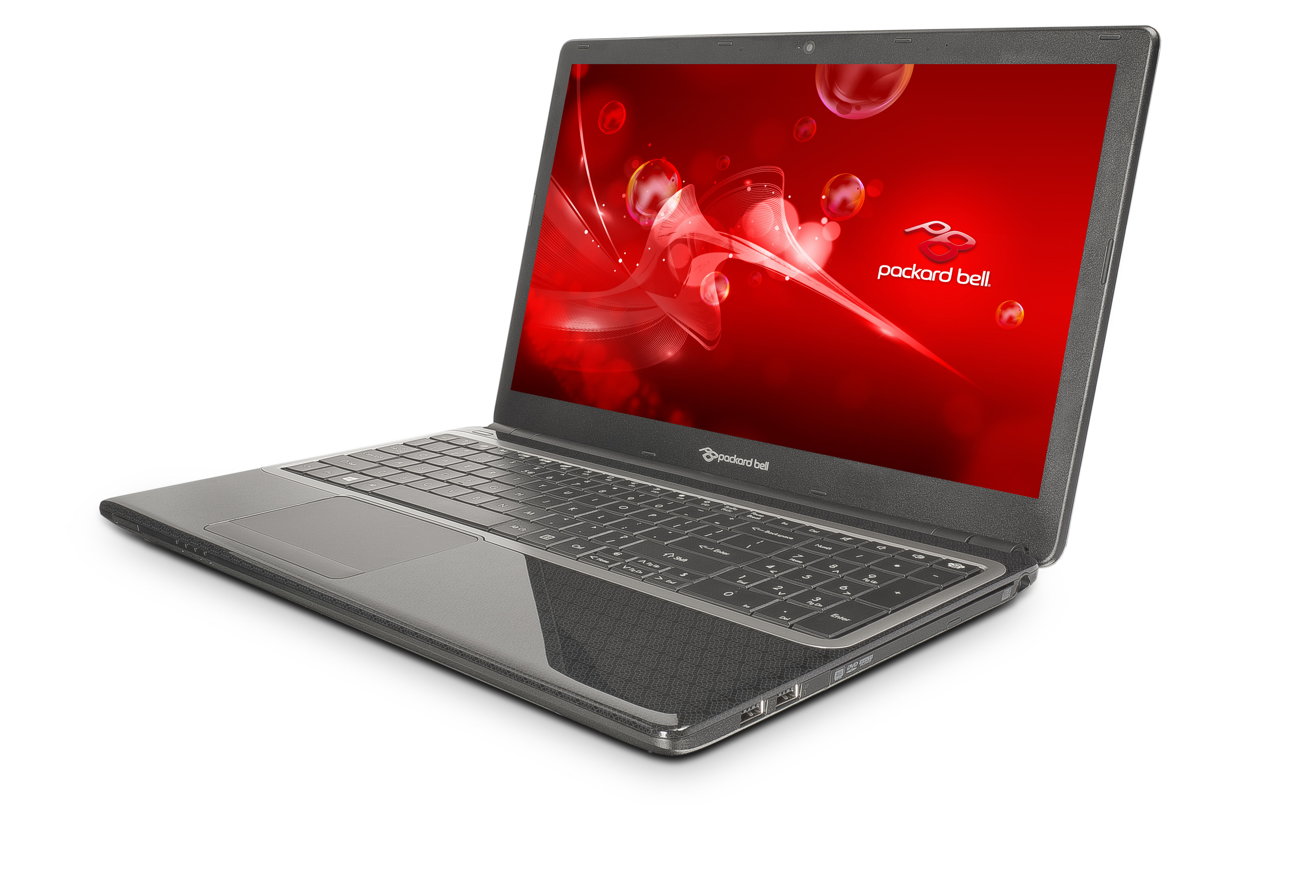 PACKARD BELL EasyNote TE69KB-12502G32Mnsk		 - 15,6 Zoll - AMD E-Series E1-2500 - 2 GB - 320 GB - Windows