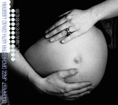 Budapest Jazz Orchestra - The Wayfarer/Human Circle (CD)