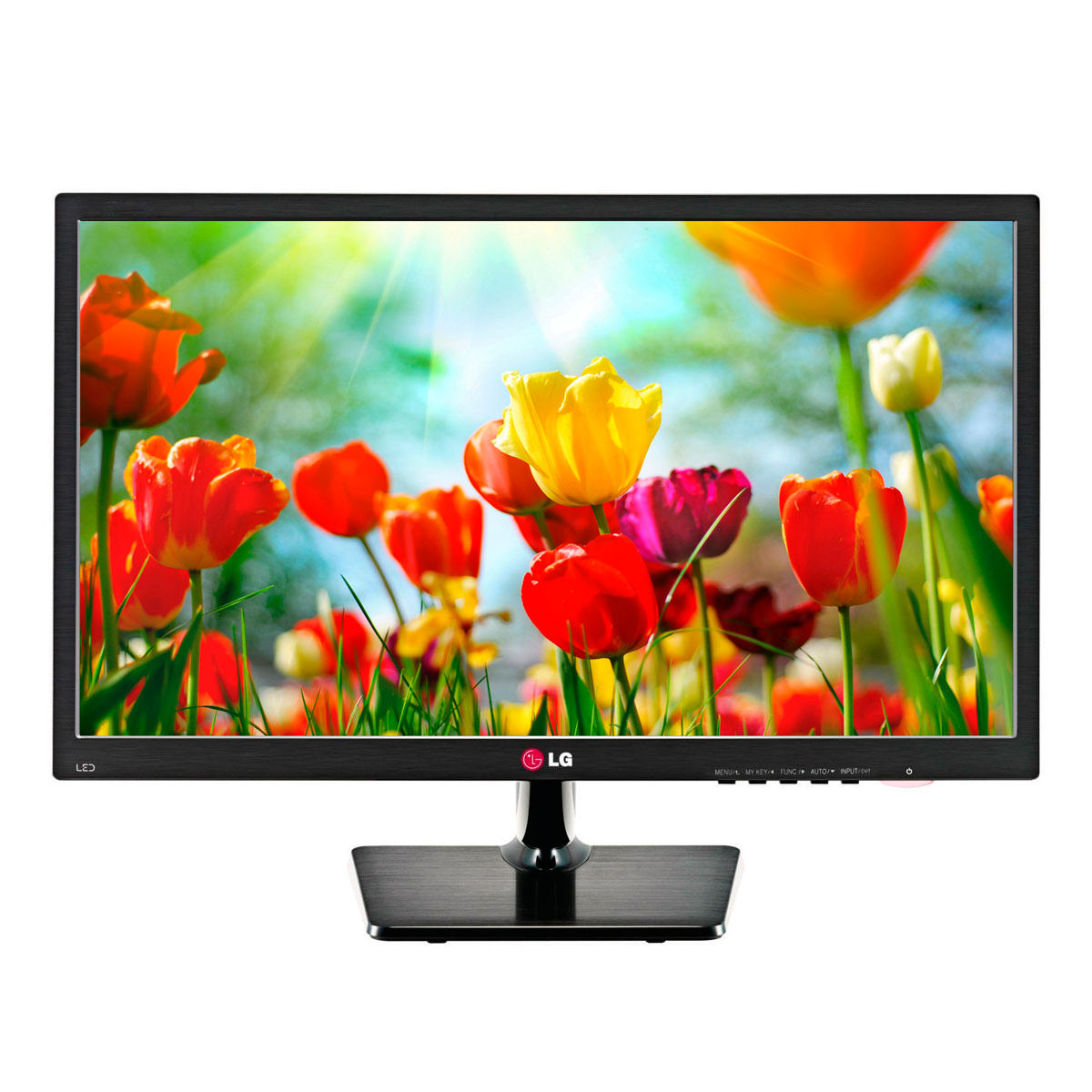 LG 27EA33V 27 inç D-Sub DVI-D HDMI LED Monitör