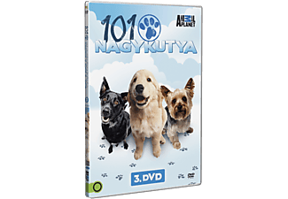 101 nagykutya - 3. lemez (DVD)