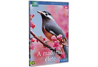 A madarak élete 4. (DVD)