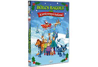 Bölcs bagoly meséje - Karácsonyi kaland (DVD)