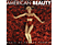 Thomas Newman - American Beauty (Amerikai szépség) (CD)