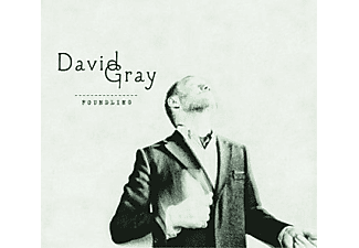 David Gray - Foundling (CD)