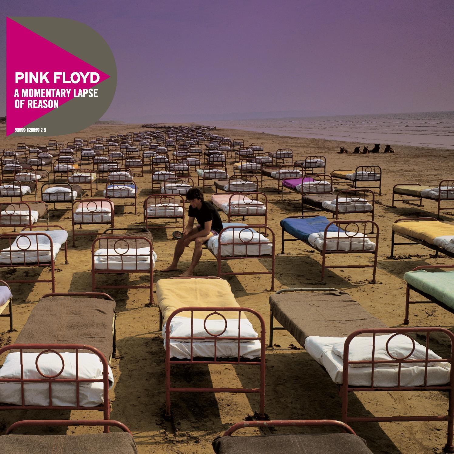 Pink Floyd - A Momentary Lapse Of Reason (CD)
