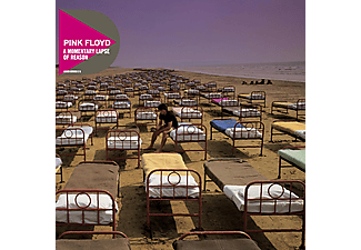 Pink Floyd - A Momentary Lapse Of Reason (CD)