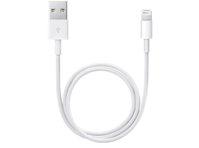 Duidelijk maken vloek stormloop APPLE Lightning-naar-USB-kabel 0,5M kopen? | MediaMarkt