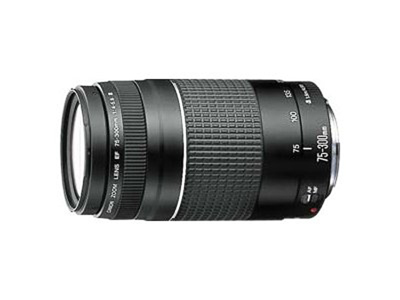 CANON EF 75-300mm f/4.0-5.6 III | MediaMarkt