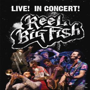 Concert! Big - Live! (DVD) - In Reel Fish