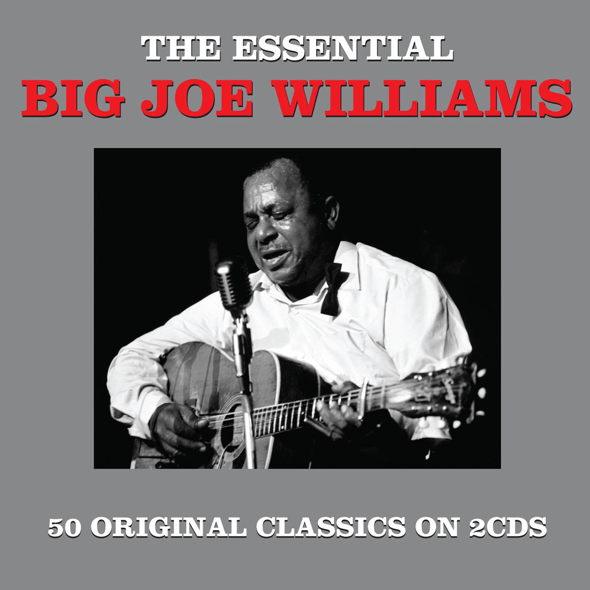 Big Joe Williams - Essential (CD)
