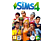 ARAL The Sims 4 PC