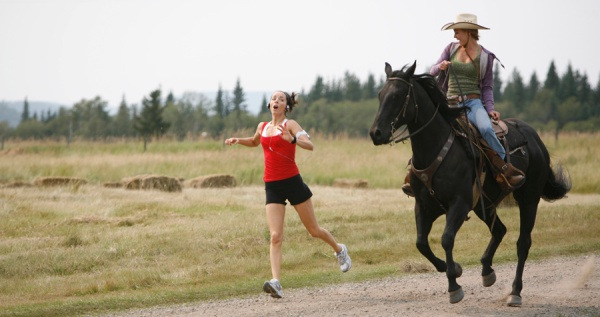 Heartland - Komplettbox in HD Blu-ray