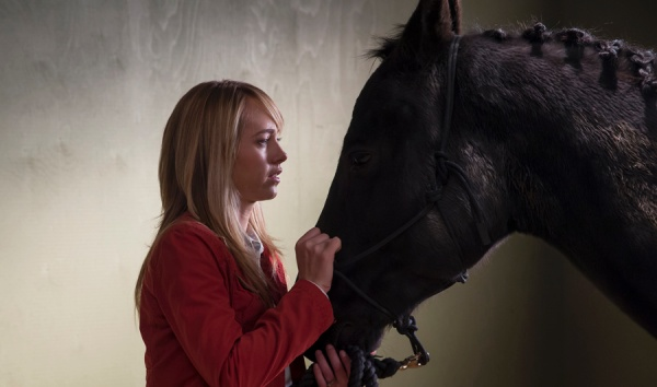Heartland - Komplettbox in HD Blu-ray